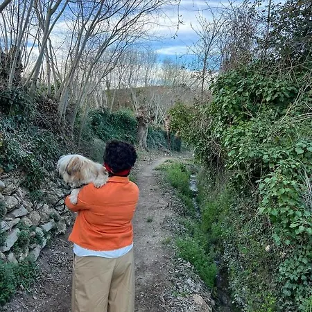 El Encanto Domek alpejski Zarra
